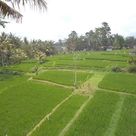 Ala'S Green Lagoon Ubud Extérieur photo