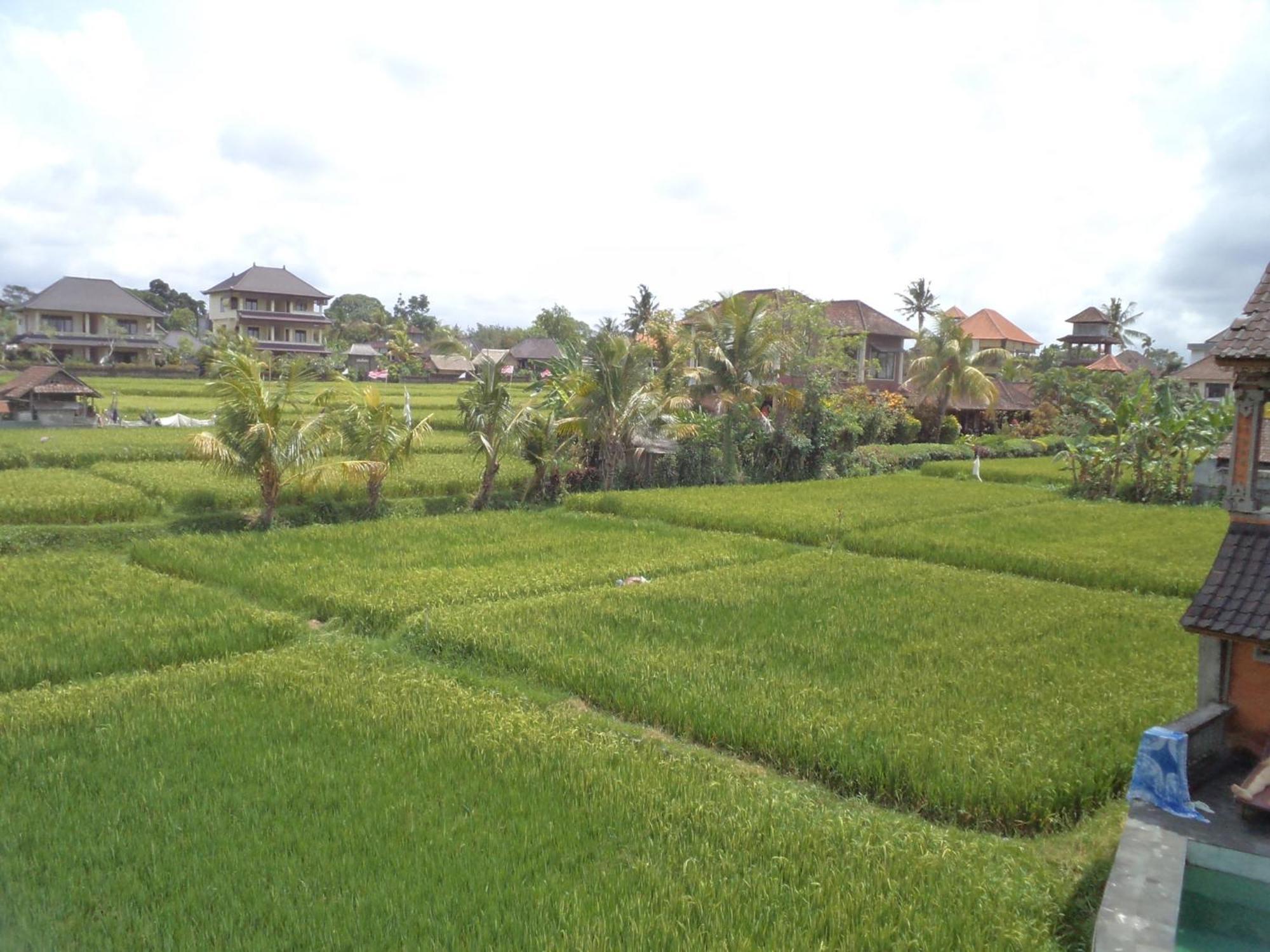 Ala'S Green Lagoon Ubud Extérieur photo