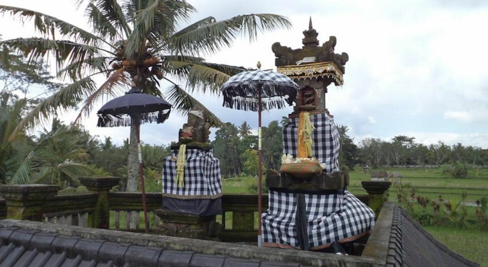 Ala'S Green Lagoon Ubud Extérieur photo